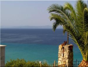 una palmera y vistas al océano en Kokkos Brothers en Kallithea Halkidikis