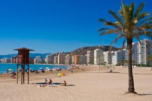 Gallery image of Camping Santamarta in Cullera