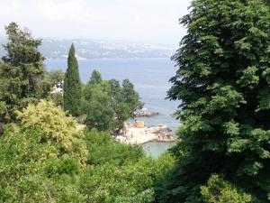 Príroda v okolí apartmánu