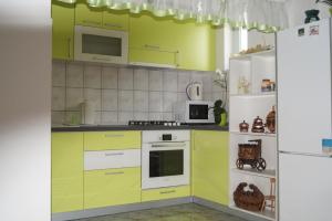 a kitchen with lime green cabinets and a refrigerator at Apartment Drago in Rakovica