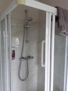 a shower with a shower head in a bathroom at Riverview House in Athlone +61 photos