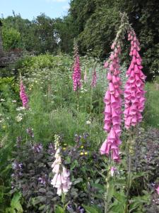 Fotografie z fotogalerie ubytování Le presbytère de Brectouville v destinaci Brectouville