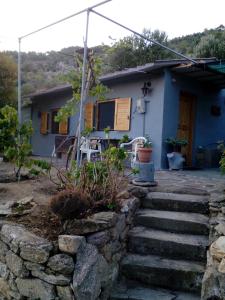 a blue house with a stone wall and stairs at Myrovolos in Armenistis
