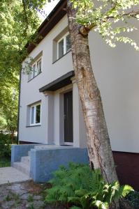 Gallery image of Kaunis Guesthouse in Tallinn