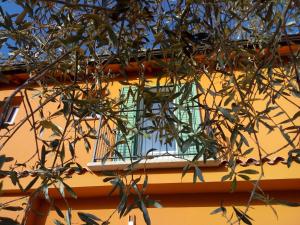 Fotografie z fotogalerie ubytování B&B PIBITZOI v destinaci Nurallào