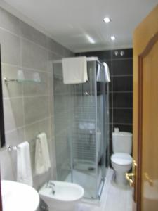 y baño con ducha, aseo y lavamanos. en Hotel Corona de Castilla, en Villares de la Reina