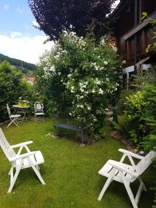 2 weiße Stühle, ein Tisch und ein Busch mit Blumen in der Unterkunft Schwarzwaldhaus in Elzach