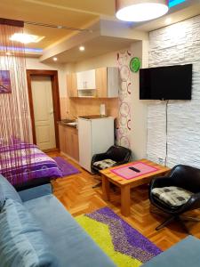 TV a/nebo společenská místnost v ubytování Apartmani Don