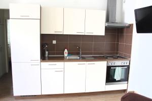 Kuchyňa alebo kuchynka v ubytovaní Apartment Maja