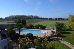 einen Hinterhof mit einem Pool und einem Feld in der Unterkunft Les chambres de Marie'O in Brazey-en-Plaine