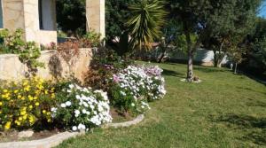 Zahrada ubytování Calafell Residencial