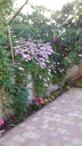 Fotografia z galérie ubytovania Studio apartman Giardino vo Viry