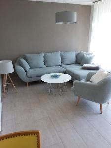 a living room with a blue couch and a table at Konstanz in Konstanz