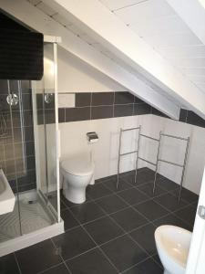 a bathroom with a toilet and a shower and a sink at Villa Zen Apartment in Padova