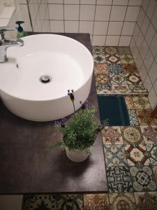 ein Badezimmer mit einem Waschbecken und einer Topfpflanze auf dem Boden in der Unterkunft Apartmán Lípa Mikulov in Mikulov