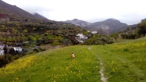 Photo de la galerie de l'établissement Apartamento Monachil Pueblo, à Monachil