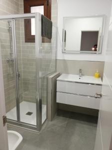 a bathroom with a shower and a sink and a toilet at La Pandorga in Sanlúcar de Barrameda