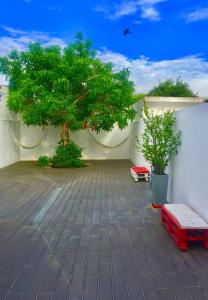 a tree sitting on the side of a building at Casa Milheiras in Almeirim