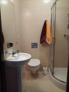 サルビノボにあるRóżany Zakątekのバスルーム(洗面台、トイレ、シャワー付)
