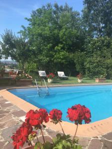 a swimming pool with red flowers in a yard at Rossella alla Villarella dei Tulipani in Asti