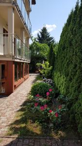 斯維諾烏伊希切的住宿－Villa Melodia，一座花园,旁边是一座粉红色的花卉