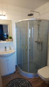 a bathroom with a shower with a sink and a toilet at Lækjaborgir Guesthouse in Kálfafell