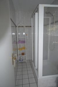 ein Bad mit einer Dusche und einer ebenerdigen Dusche in der Unterkunft Haus Adelaide in Ahlbeck