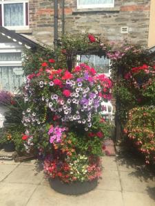 una exposición de flores frente a un edificio en Seashells, en Newquay