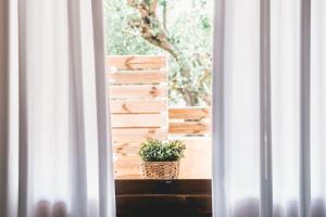 Fotografie z fotogalerie ubytování Villa Dimitris v destinaci Laganas