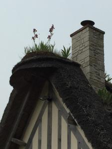 a building with a chimney with a plant on top of it at Holiday home Le clos du phare in Saint-Samson-de-la-Roque