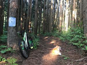 Jízda na kole v ubytování Nori's Sharehouse Hakuba nebo okolí