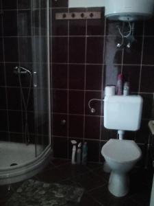 メゼーケヴェシュトにあるCsalogány Apartmanのバスルーム(白いトイレ、シャワー付)