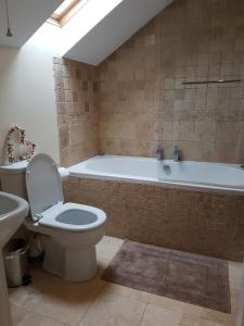 a bathroom with a toilet and a bath tub at The Beekeeper's Cottage in Saint Columb Major