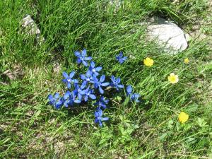 Φωτογραφία από το άλμπουμ του La Baita σε Bionaz +28 φωτογραφίες