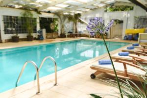 una piscina con sedie e un fiore viola accanto ad essa di The White Chalet View a Moshav Ramot