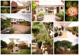 un collage de fotos de una casa con plantas en Rest Assured Stilbaai, en Stilbaai