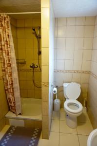 a small bathroom with a toilet and a shower at Apartmány Petronela Hrabušická Píla in Hrabušice