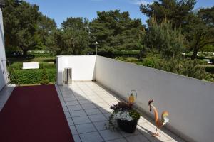 Zahrada ubytování Hotel Nordlicht