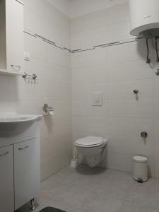 a white bathroom with a toilet and a sink at Apartment Violeta 2 in Funtana