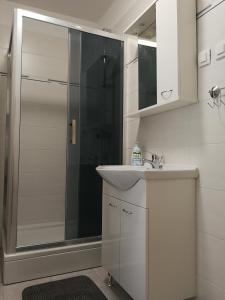 a bathroom with a shower and a sink at Apartment Violeta 2 in Funtana