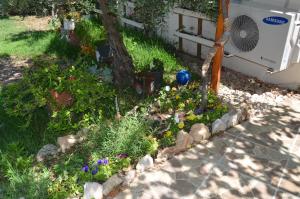 a garden with flowers and rocks and a tree at Beyoglu Pansiyon in Patara