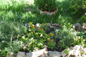 a garden with flowers and rocks in the grass at Beyoglu Pansiyon in Patara
