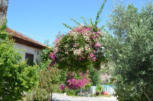 a hanging basket filled with pink flowers in a yard at Beyoglu Pansiyon in Patara