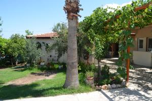 a palm tree in front of a house at Beyoglu Pansiyon in Patara