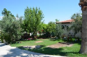 a yard with trees and a house at Beyoglu Pansiyon in Patara