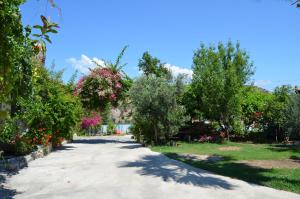 a driveway with trees and flowers in a yard at Beyoglu Pansiyon in Patara