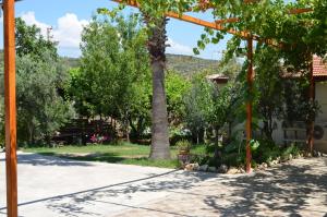 a garden with a tree and a house at Beyoglu Pansiyon in Patara