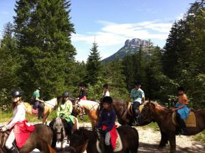 アルタウスゼーにあるReitbauernhof Schartnerのギャラリーの写真