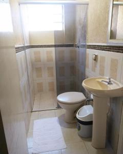 W łazience znajduje się toaleta, umywalka i prysznic. w obiekcie Grande Hotel Minas Gerais w mieście Siqueira Campos