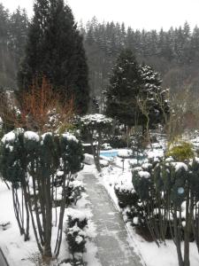 Pension U Kaktusu durante l'inverno